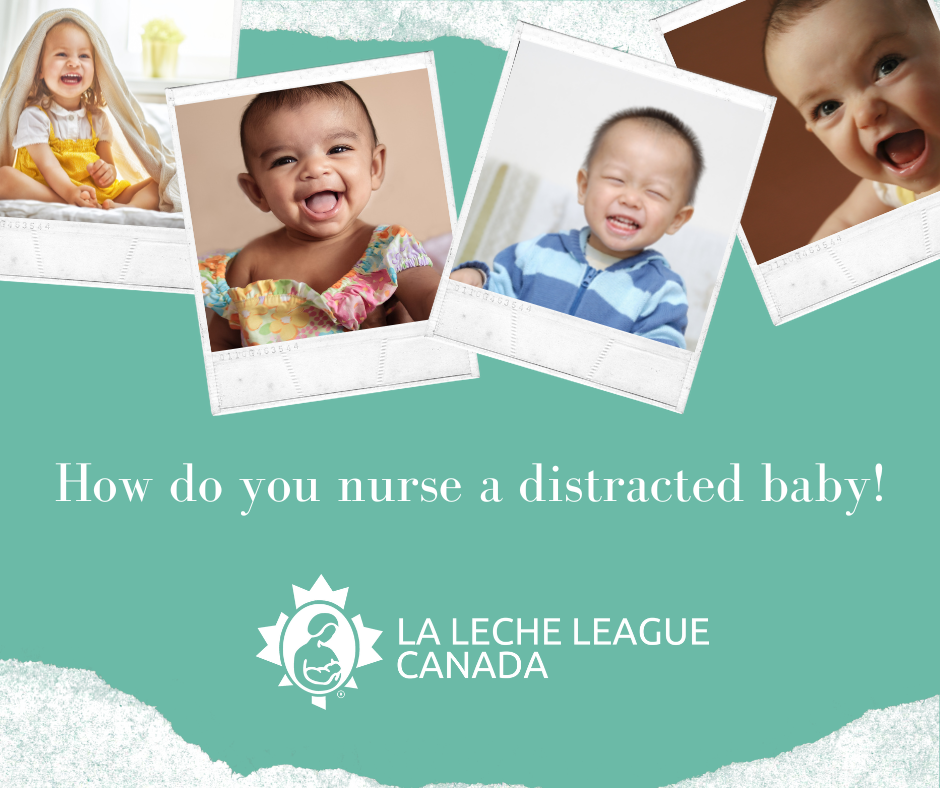 Breastfeeding the Distracted Baby (612 months) La Leche League